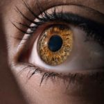 persons brown eyes with brown eyes